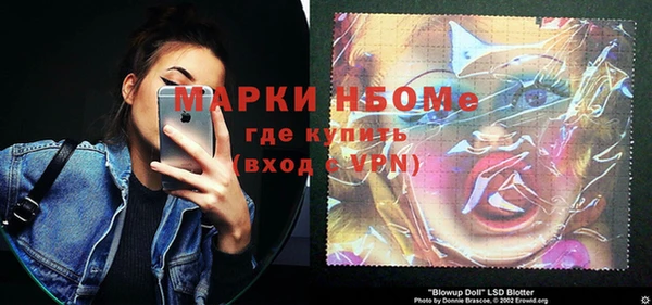 мдпв Верхний Тагил