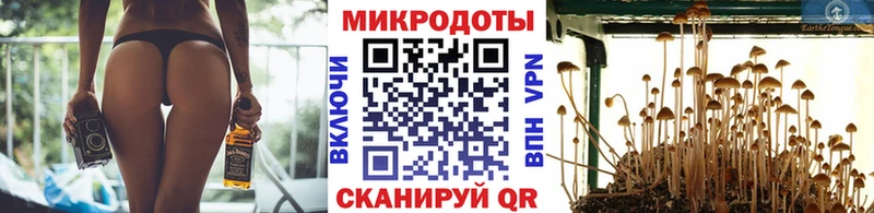 Псилоцибиновые грибы мухоморы  цены наркотик  Дубна 